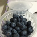 싸리골농장 이미지