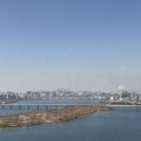 비스트로피자(사수점) | 호텔 나루 서울 엠갤러리 부아쟁 주말 런치 가격 후기