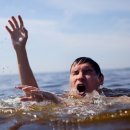 아쿠아 프랜즈 이미지