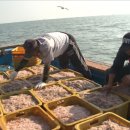 포구의 오후 이미지