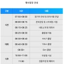 2025 서울신문하프마라톤 10k후기 코스 날씨 준비물