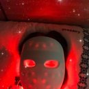 신라에스테