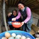 누룩재마을 이미지