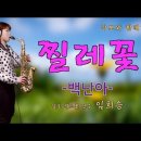 '찔레꽃'-백난아 [악보와 함께하는] - Alto Saxophone 임희승 색소폰 연주 이미지