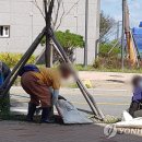 좋은이웃들 이미지