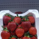 탑산후조리원 이미지