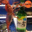 독도새우 추천 홈마카세 새우회 손님접대 고민 줄인 더대박 활 꽃새우 닭새우 도화새우 후기