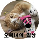 와촌식육식당진량공단점 1 이미지