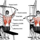 다이어트365GYM 이미지