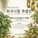 성정청소년문화의집 | 천안아이와 4월 나들이 무료 행사 총모음 (아이랑 가기 좋은 축제 일정 정리)