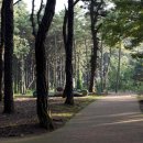 탄금대로 이미지