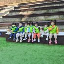 꿈이크는 동물병원 | ✨ 꿈이크는어린이집 무료 체험교육 후기 ✨