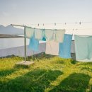 한양세탁 이미지