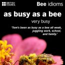 Do you know the idiom ""busy as a bee""? 이미지