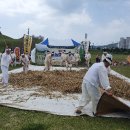 고성농요 정기공연 이미지