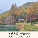 가족나들이 | 충남 단풍명소 추천 논산 온빛자연휴양림 가족나들이 후기