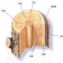 목공(기초) 이미지