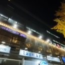 감성9091 이미지