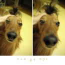 카즈 이미지