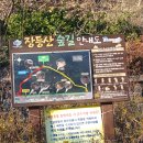 대명동 강아지 이미지