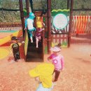 대촌공원 이미지