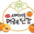 상촌농장 이미지