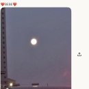 토이모이케이크