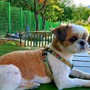 이원공인중개사사무소 이미지