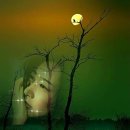 당신은 몰라 / 검은나비(최헌) 이미지