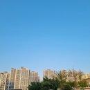 롯데리치공인중개사사무소 이미지