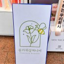 여의도예쁜꽃집 플라워샵허니비 여의도점 풍성하고 예쁜 꽃바구니 선물하기