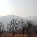 할머니 민박 이미지