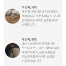 황금명가