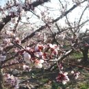 도진농장 이미지