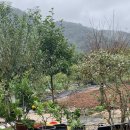 진주수진정원 이미지