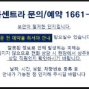 라센트라 이미지