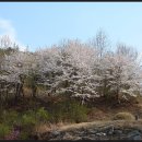 영기농장 이미지