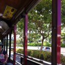 로마스할리데이 이미지