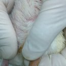 이앤박동물병원 이미지
