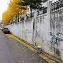 부천로366번길 이미지