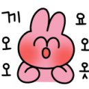 청라 공감 동물의료센터 이미지