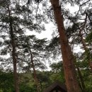 산새소리물소리 이미지