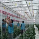 장수군농업기술센터 이미지