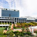 삼락동 행정복지센터 이미지