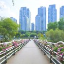 신반포역 1번출구 뒤 이미지