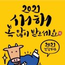 중앙합기도 이미지