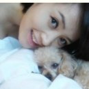 푸들사랑 이미지