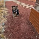 엠엘비 군산수송점 | 😋