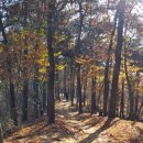 아름도담길 이미지