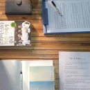 튼튼해짐 이미지